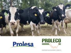 Prolesa y Proleco ofrecen un mejor contado para su ganado