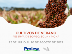 Cultivos de verano: reserva de sorgo, soja y moha 2022-2023