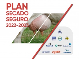 Plan secado seguro 2022-2023
