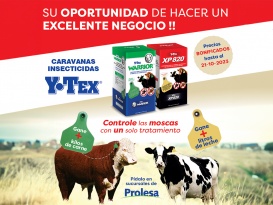 Promoción caravanas Y-Tex