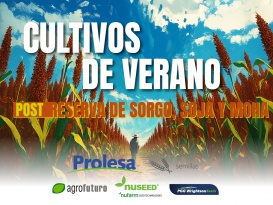 Post reserva de sorgo, soja y moha 2025/26