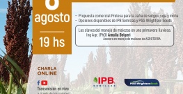 Charla informativa sobre sorgos, soja y moha 2023-2024