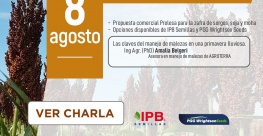 Ver charla informativa sobre sorgos, soja y moha 2023-2024