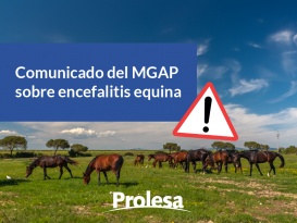 Comunicado del MGAP sobre encefalitis equina