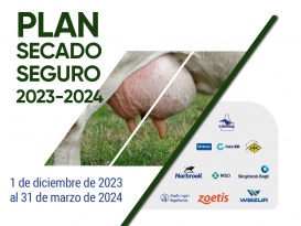 Plan secado seguro 2023-2024