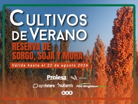 Cultivos de verano: reserva de sorgos, soja y moha 2026/27