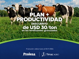 Plan + Productividad 2026